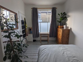 Cosy Christmas in lovely child friendly flat